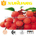 Good taste fruit powder lychee lychee powder with free sample